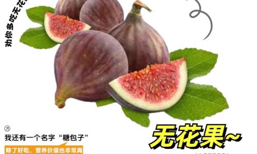 胖大海与菊花泡水喝的功效-胖大海和菊花泡水喝的功效-专业胖大海与菊花茶的功效平台-胖大海与菊花茶的功效